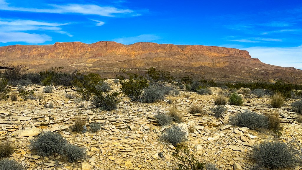 00 San Antonio Ave, Terlingua, Texas image 4