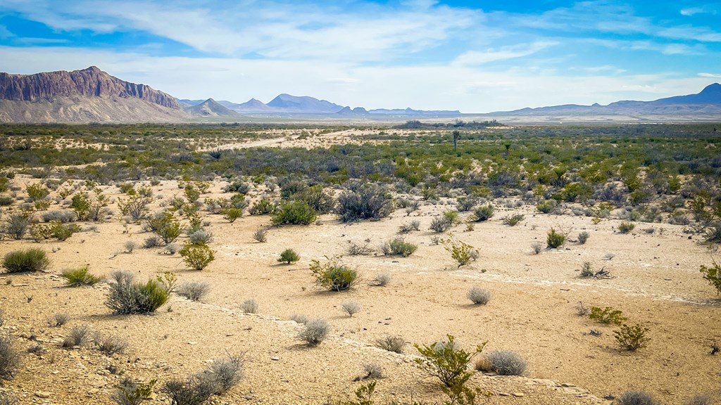 00 San Antonio Ave, Terlingua, Texas image 2