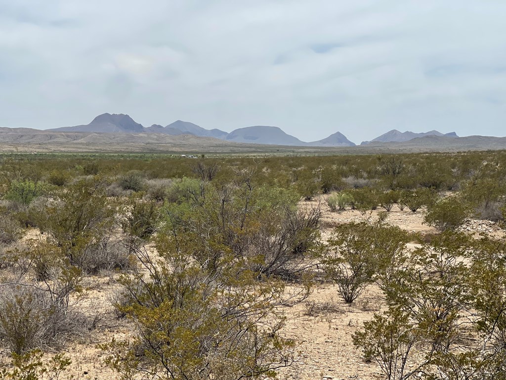 G78 Broken Spoke, Terlingua, Texas image 12