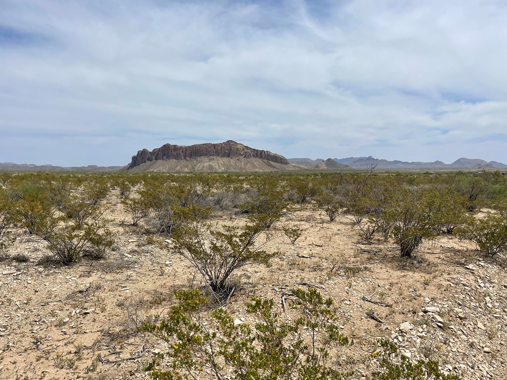 G78 Broken Spoke, Terlingua, Texas image 13