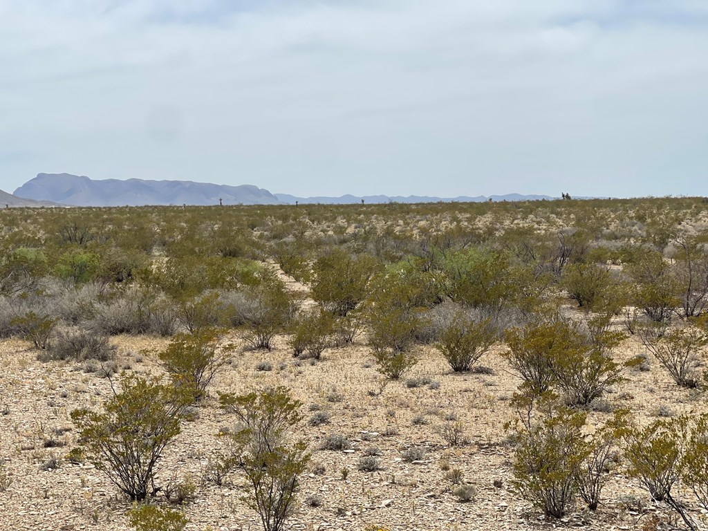 G78 Broken Spoke, Terlingua, Texas image 7