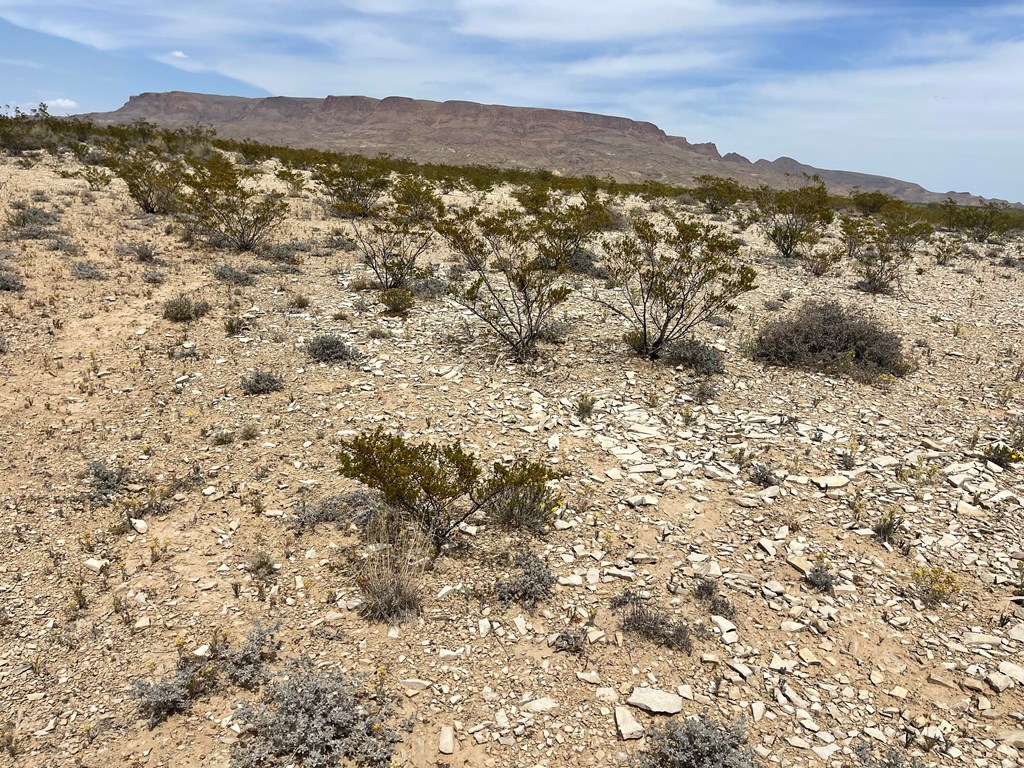 G78 Broken Spoke, Terlingua, Texas image 9