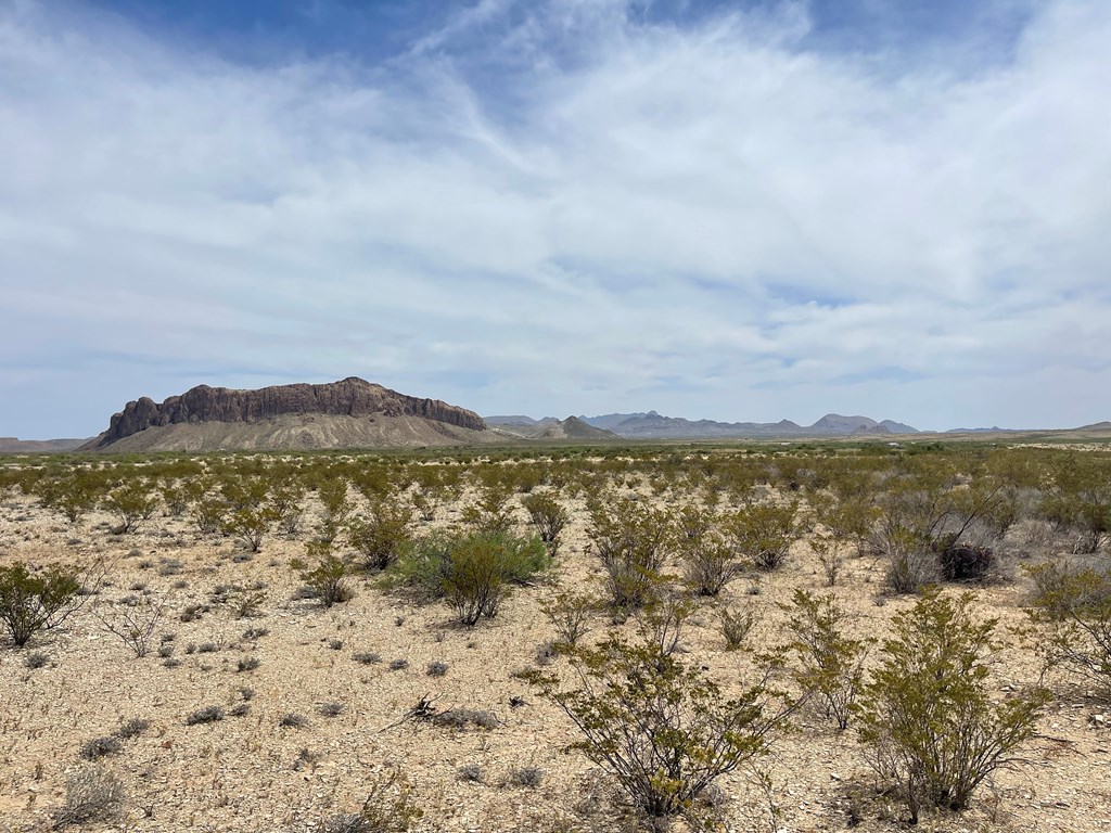 G78 Broken Spoke, Terlingua, Texas image 6