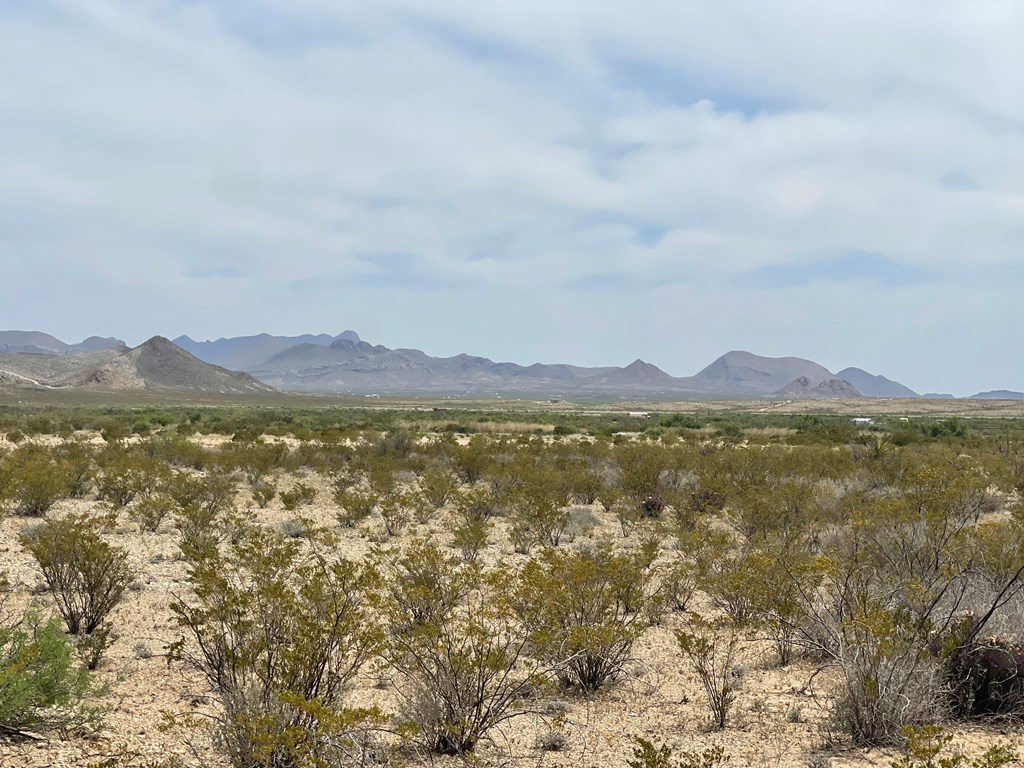 G78 Broken Spoke, Terlingua, Texas image 4