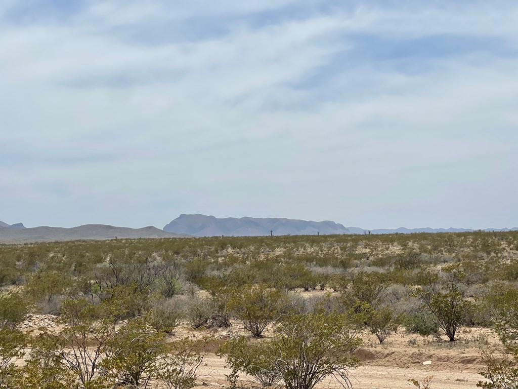 G78 Broken Spoke, Terlingua, Texas image 5