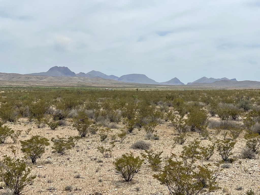 G78 Broken Spoke, Terlingua, Texas image 8