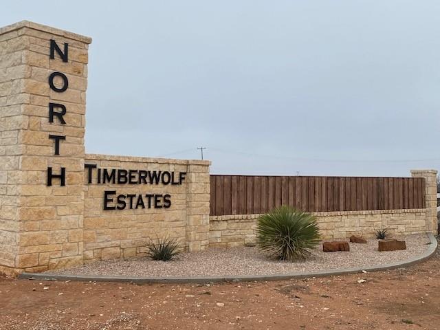 3600 Black Wolf Trail, Midland, Texas image 1