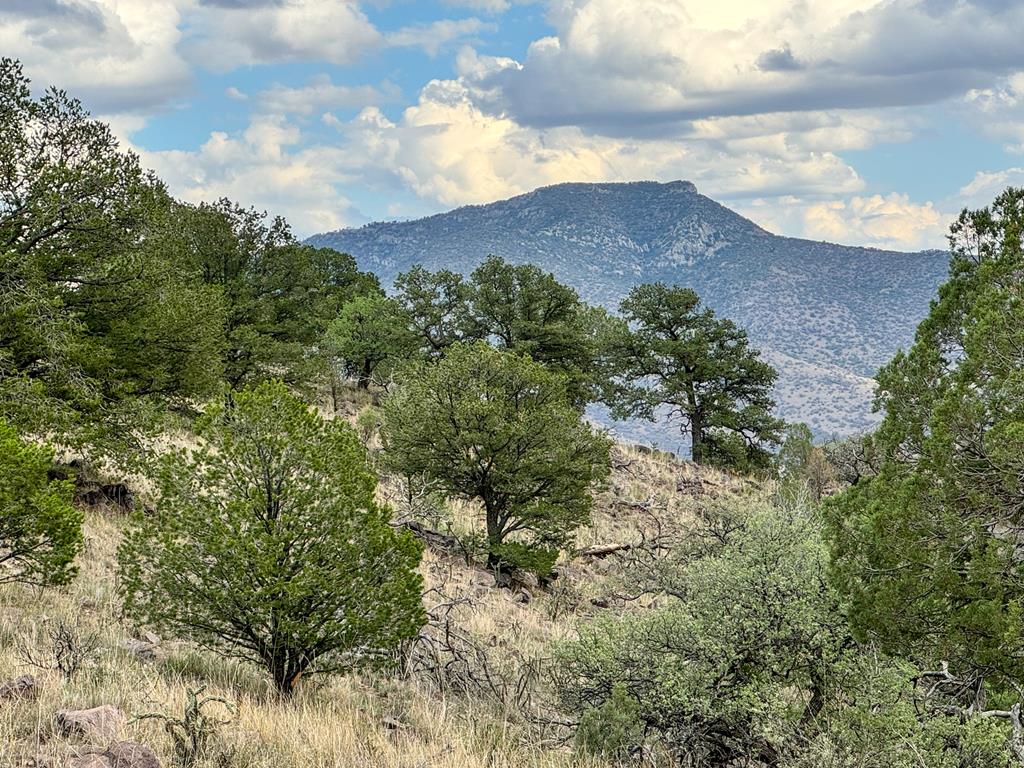 336 High Lonesome, Fort Davis, Texas image 1