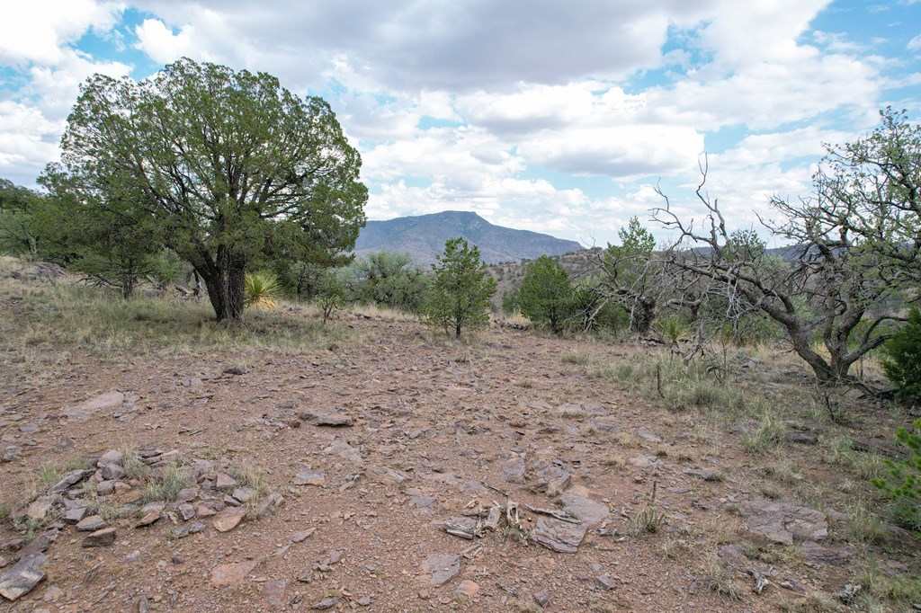 336 High Lonesome, Fort Davis, Texas image 9