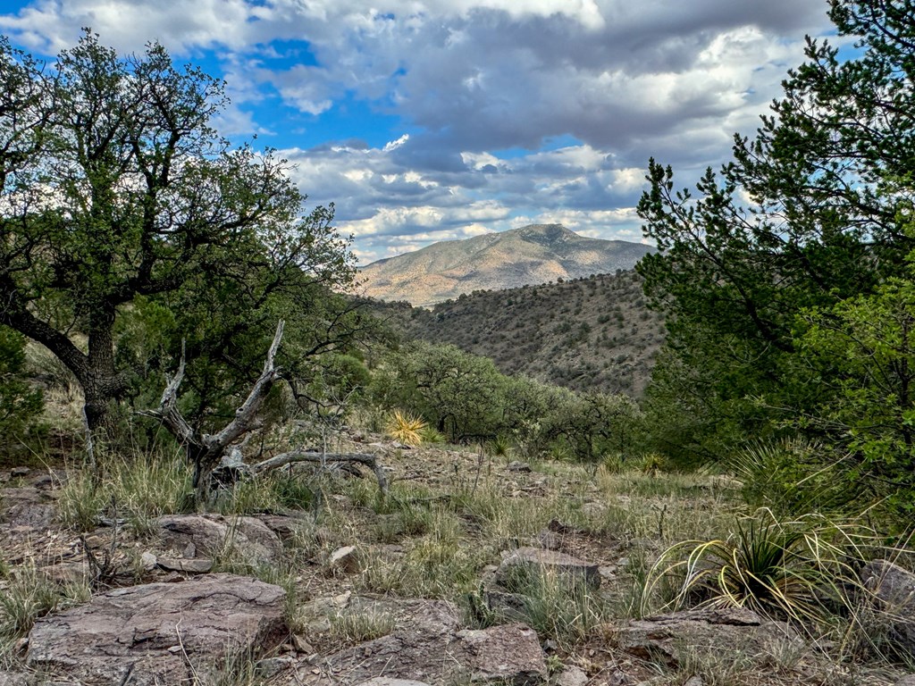 336 High Lonesome, Fort Davis, Texas image 4