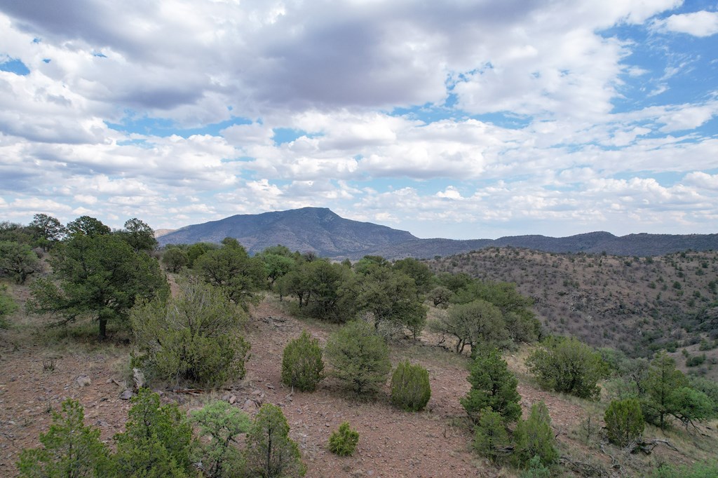 336 High Lonesome, Fort Davis, Texas image 7