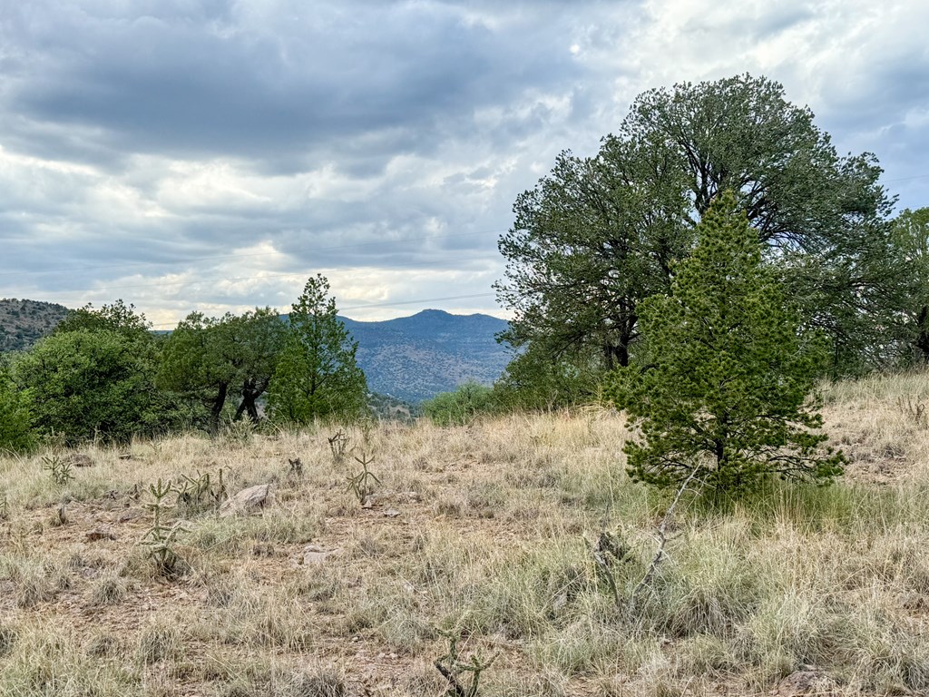 336 High Lonesome, Fort Davis, Texas image 11