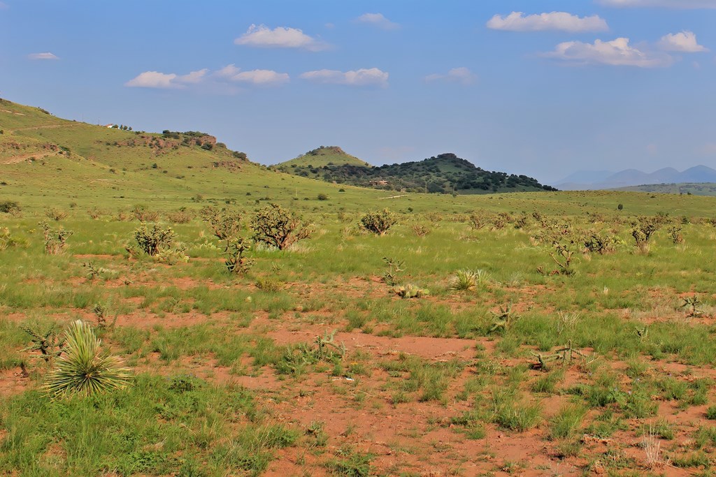 Blue Mountain Trail, Fort Davis, Texas image 12