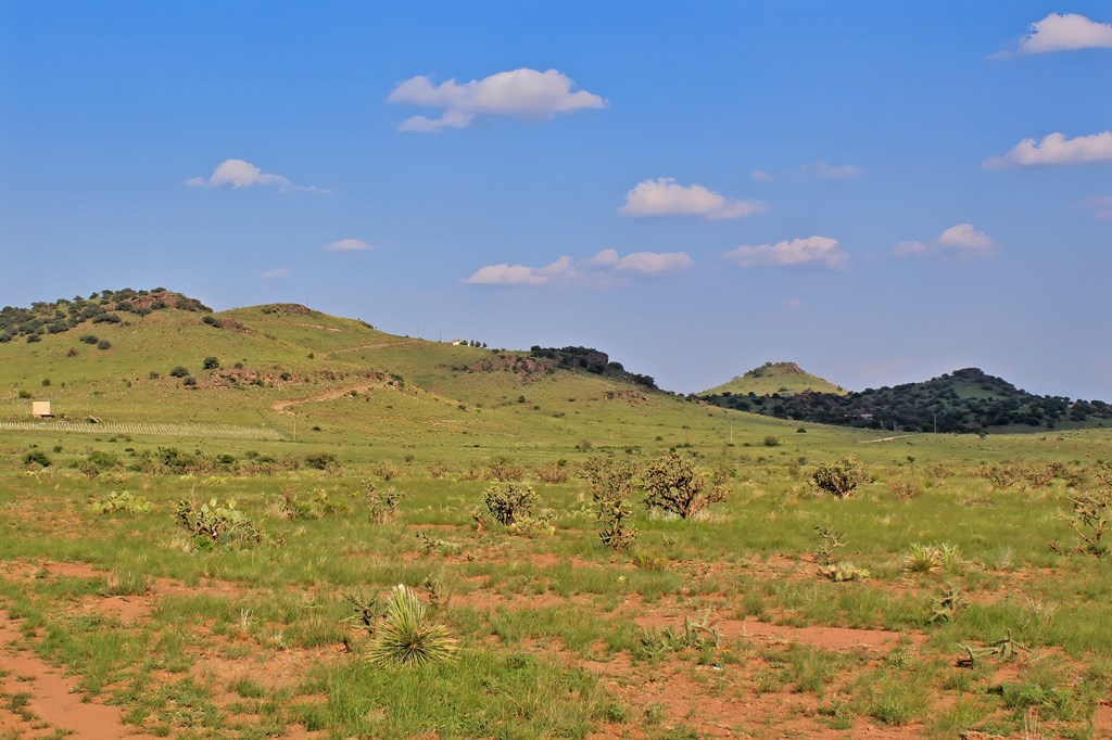 Blue Mountain Trail, Fort Davis, Texas image 10