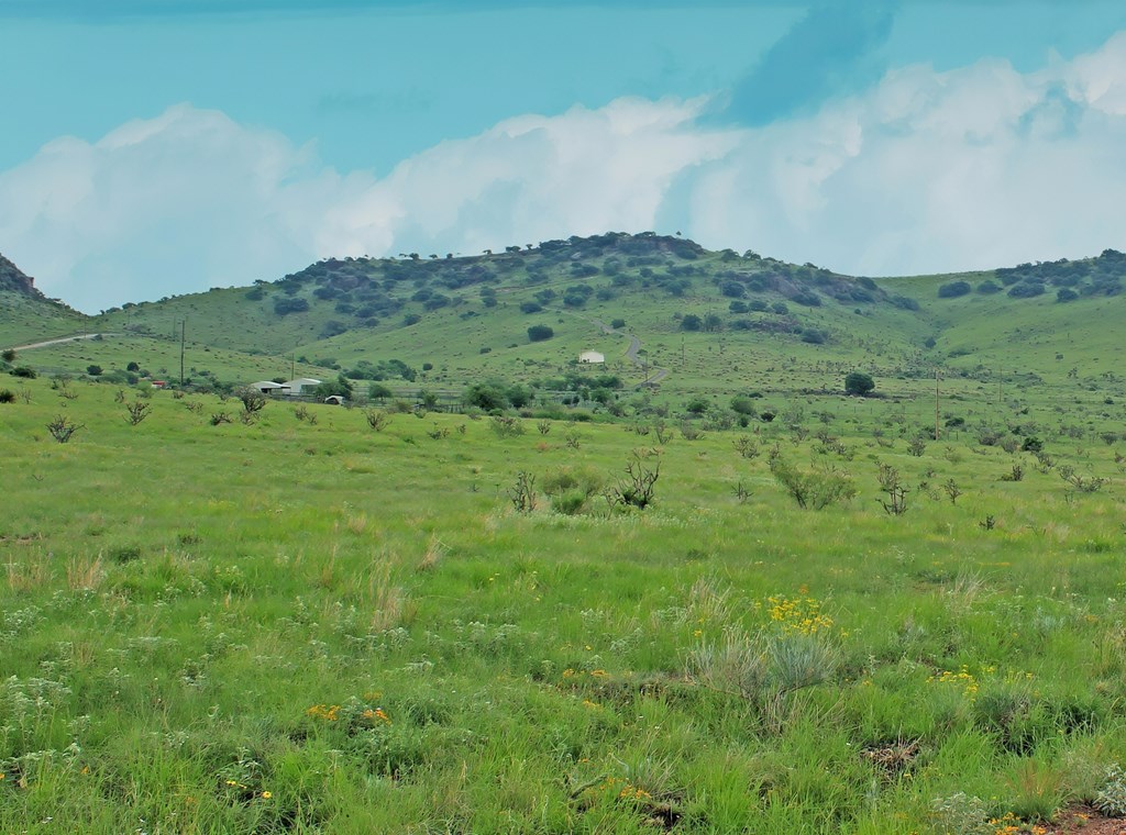 Blue Mountain Trail, Fort Davis, Texas image 4