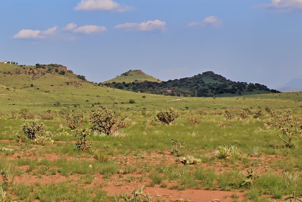 Blue Mountain Trail, Fort Davis, Texas image 11