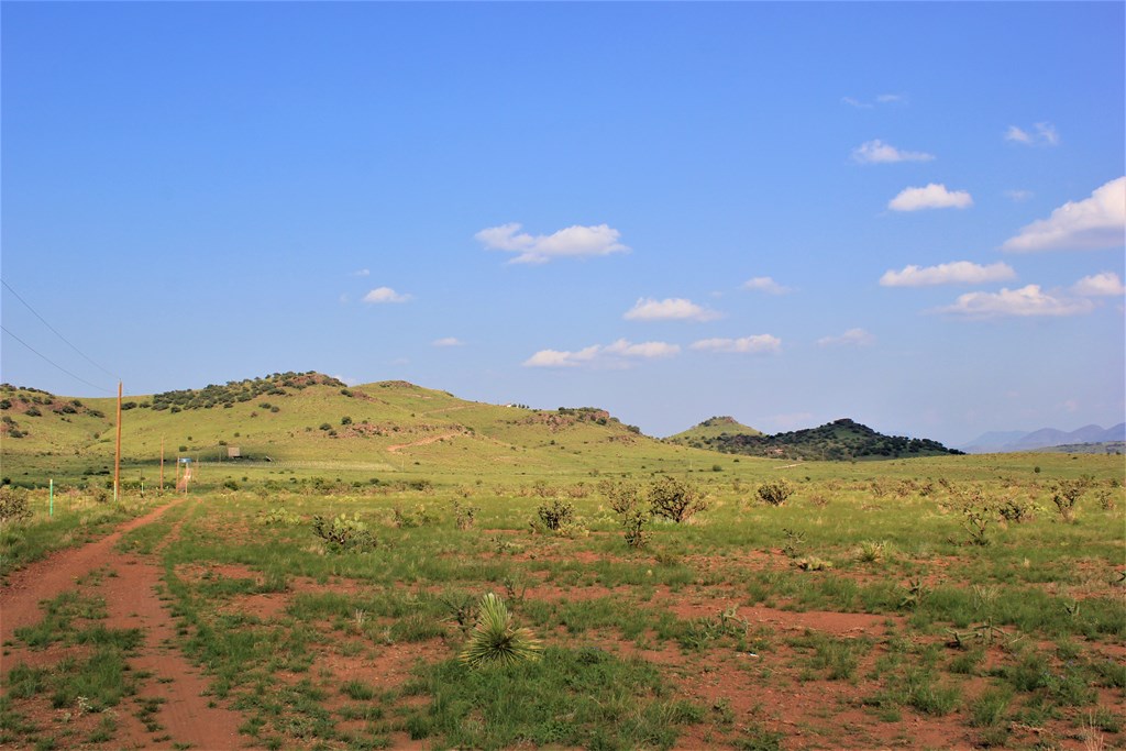 Blue Mountain Trail, Fort Davis, Texas image 13