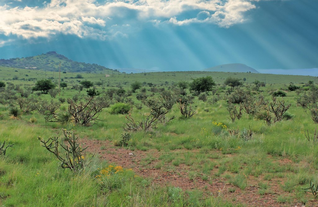 Blue Mountain Trail, Fort Davis, Texas image 5