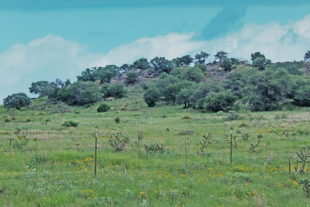 Blue Mountain Trail, Fort Davis, Texas image 3