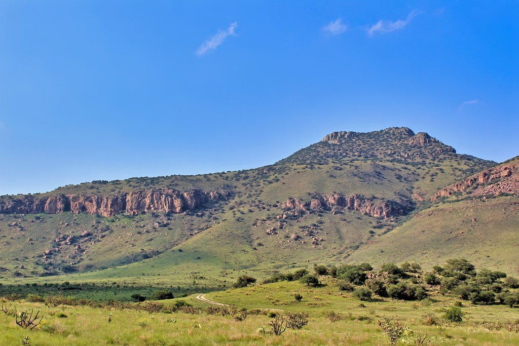 Blue Mountain Trail, Fort Davis, Texas image 8