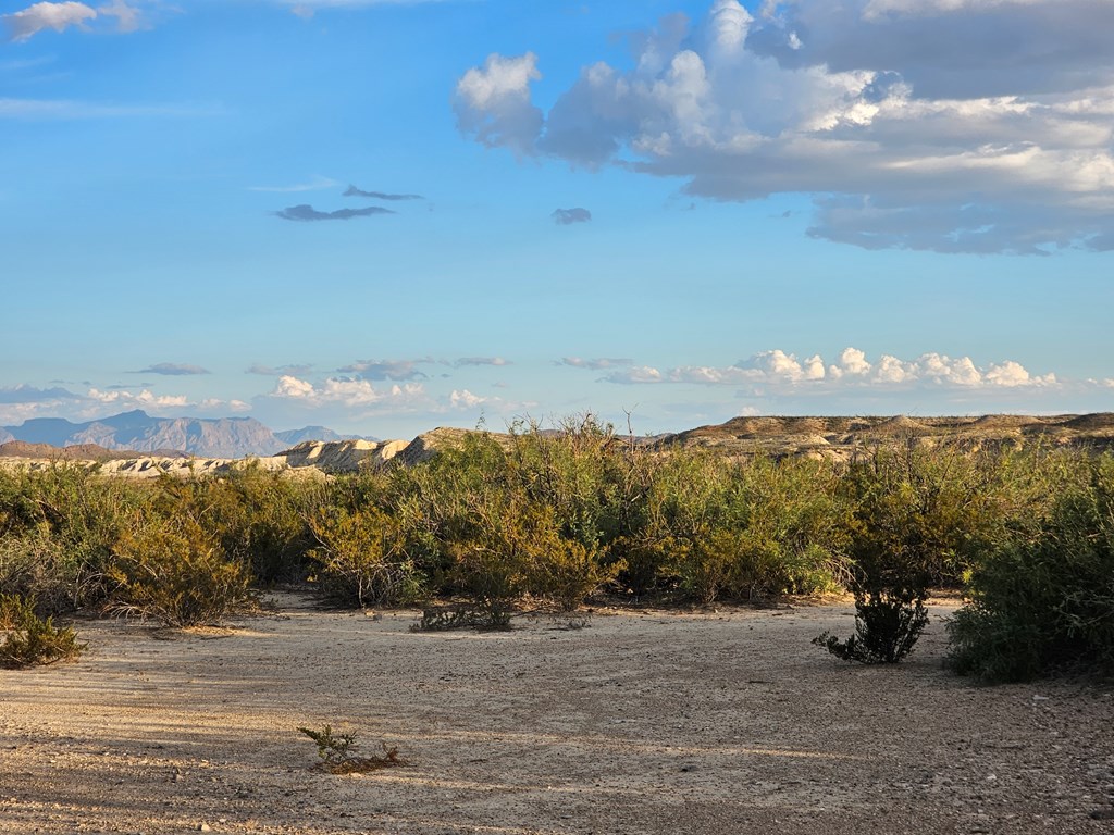 2702 Hen Egg Rd, Terlingua, Texas image 4