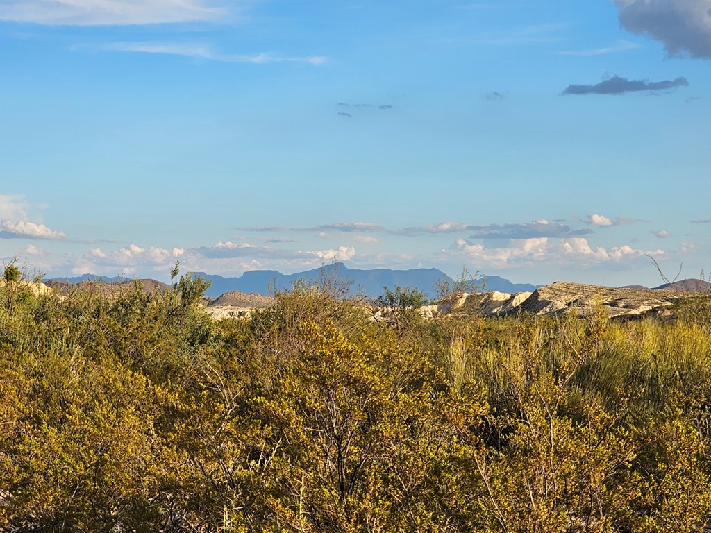 2702 Hen Egg Rd, Terlingua, Texas image 13