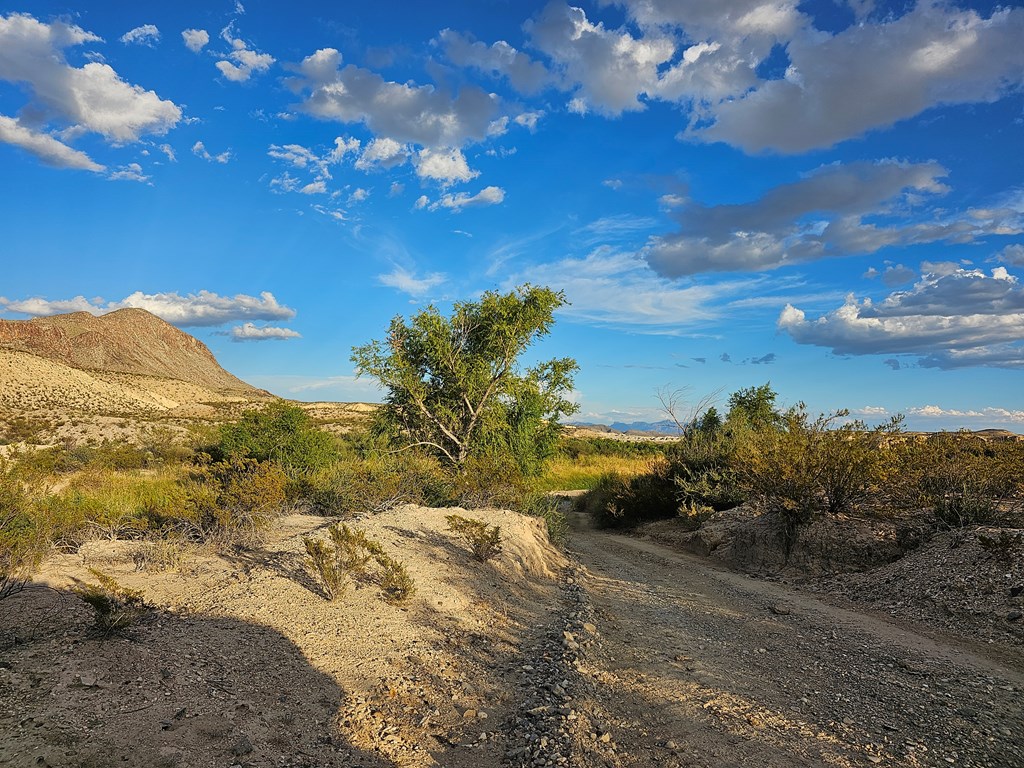 2702 Hen Egg Rd, Terlingua, Texas image 32