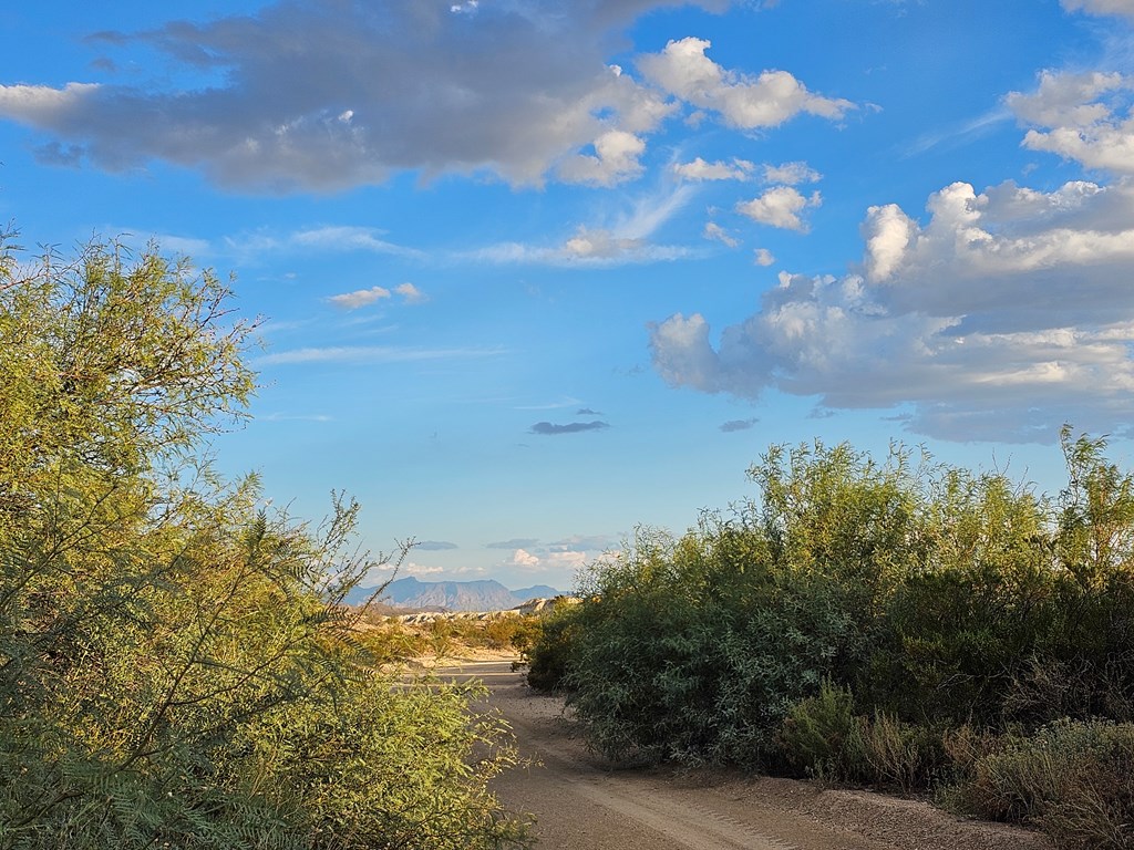 2702 Hen Egg Rd, Terlingua, Texas image 10