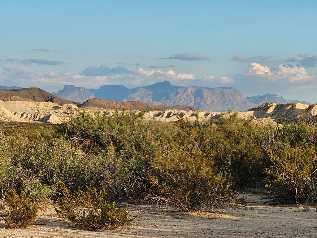 2702 Hen Egg Rd, Terlingua, Texas image 3