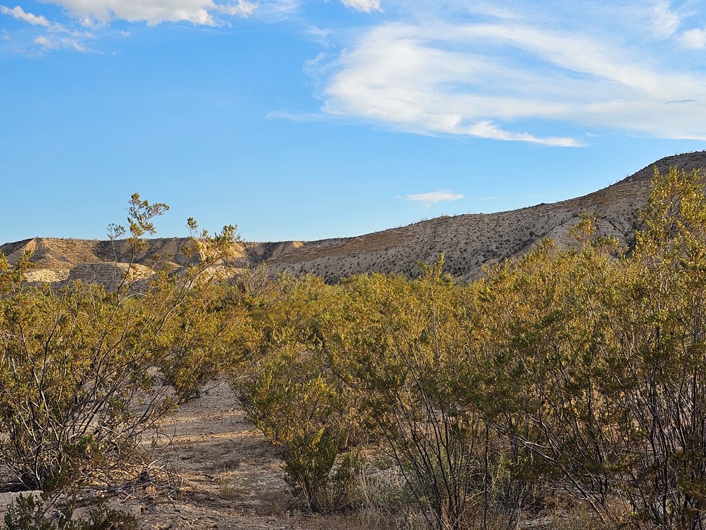 2702 Hen Egg Rd, Terlingua, Texas image 29