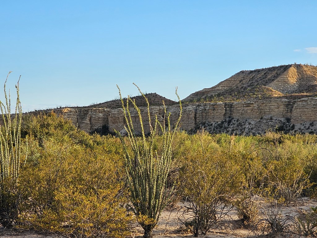 2702 Hen Egg Rd, Terlingua, Texas image 12