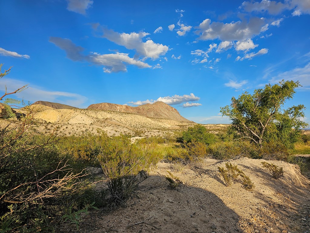 2702 Hen Egg Rd, Terlingua, Texas image 33