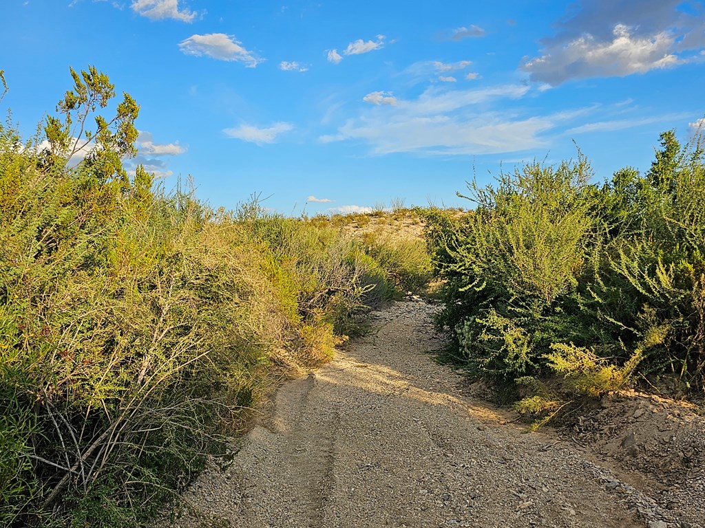 2702 Hen Egg Rd, Terlingua, Texas image 17