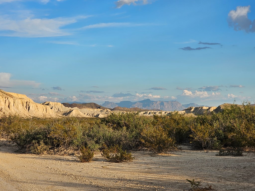 2702 Hen Egg Rd, Terlingua, Texas image 2