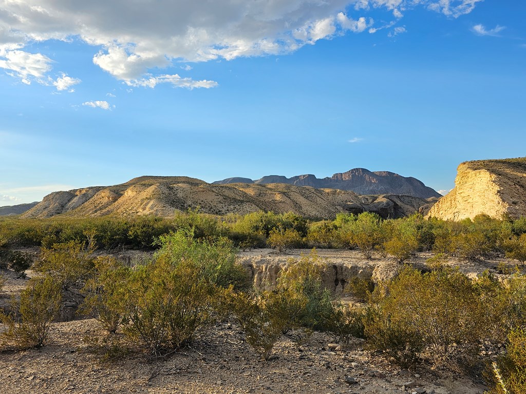 2702 Hen Egg Rd, Terlingua, Texas image 25