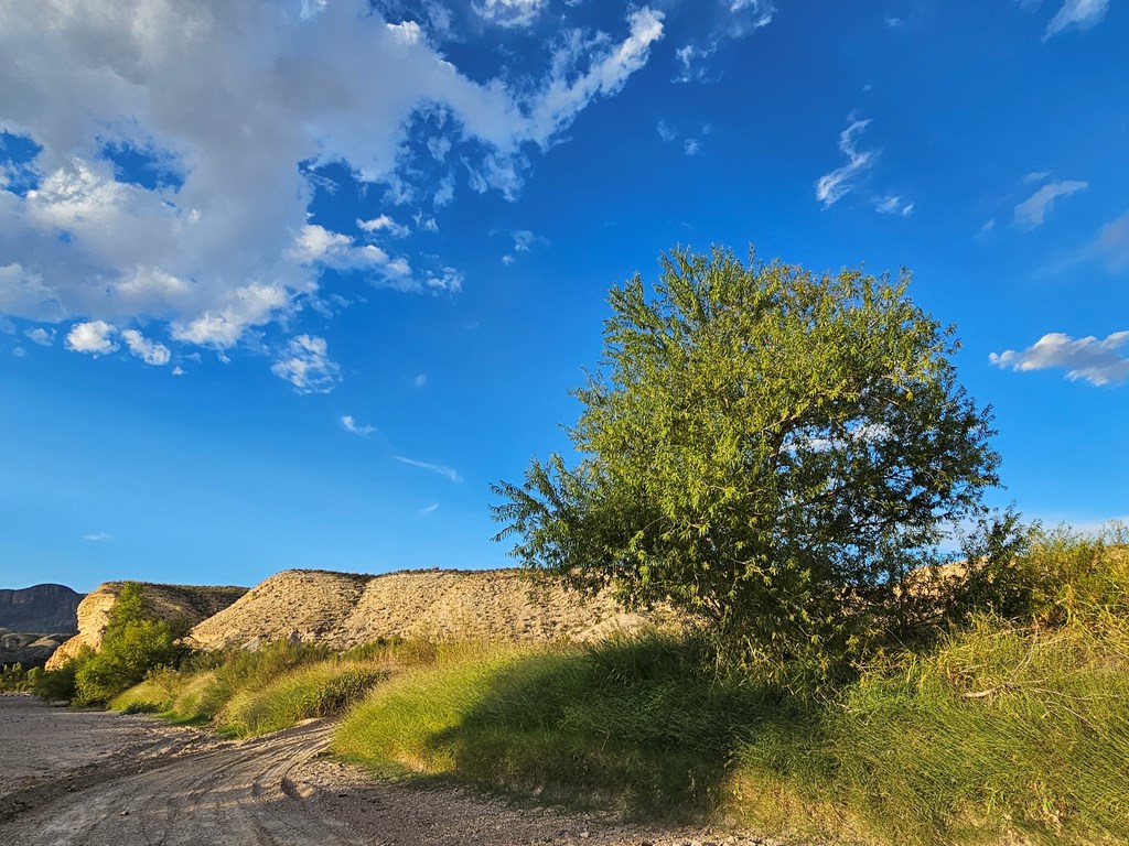 2702 Hen Egg Rd, Terlingua, Texas image 21