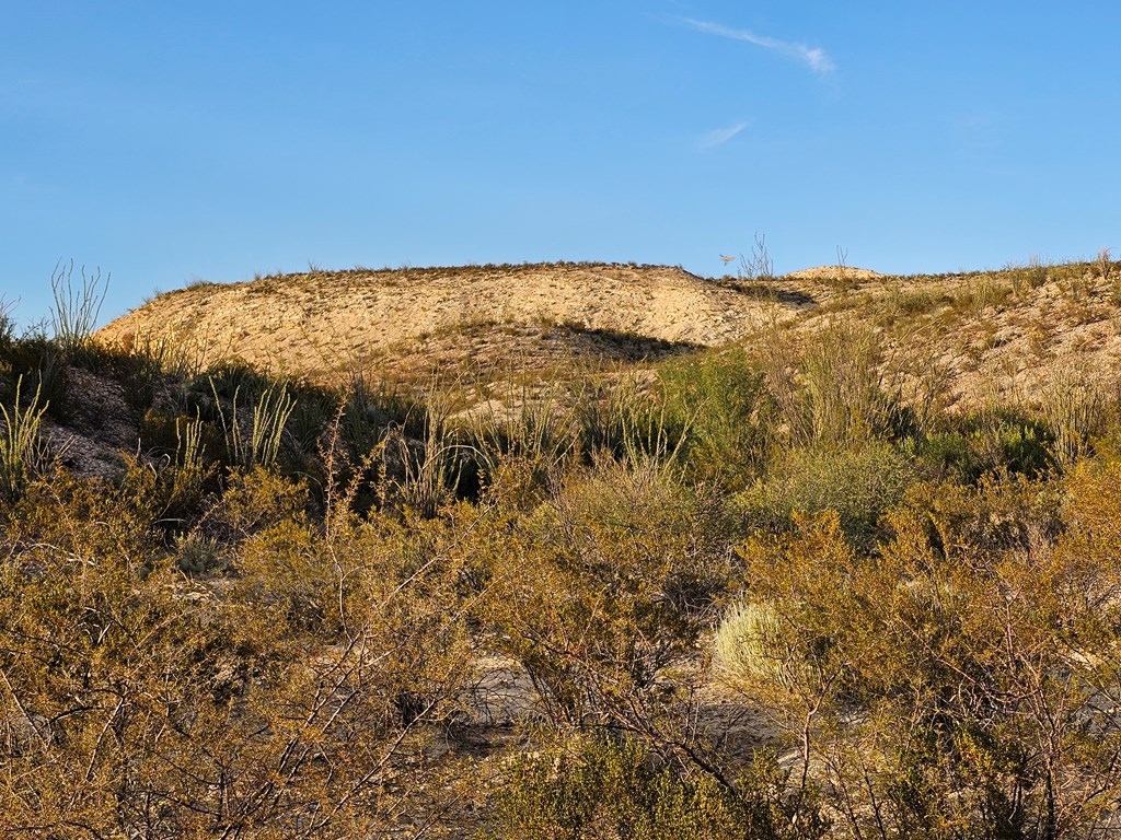 2702 Hen Egg Rd, Terlingua, Texas image 9