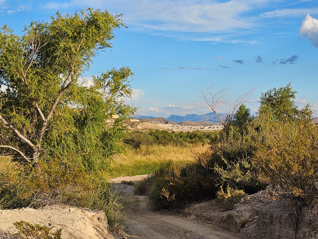 2702 Hen Egg Rd, Terlingua, Texas image 31