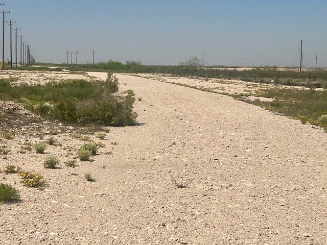 00 Hwy 385s, Crane, Texas image 7