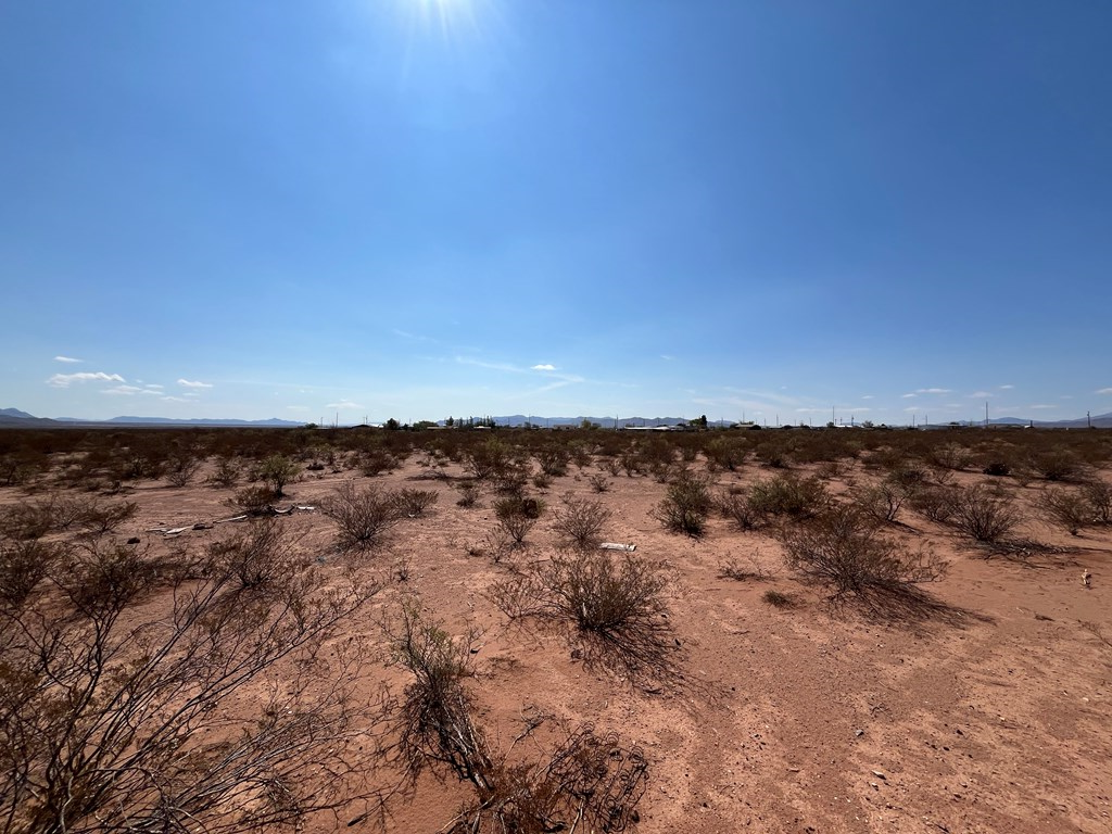 101 Redford, Terlingua, Texas image 10