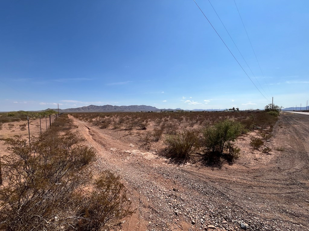 101 Redford, Terlingua, Texas image 15