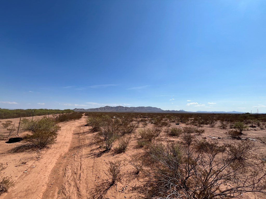 101 Redford, Terlingua, Texas image 11