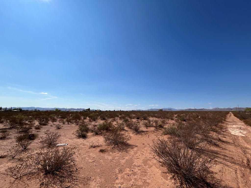 101 Redford, Terlingua, Texas image 8