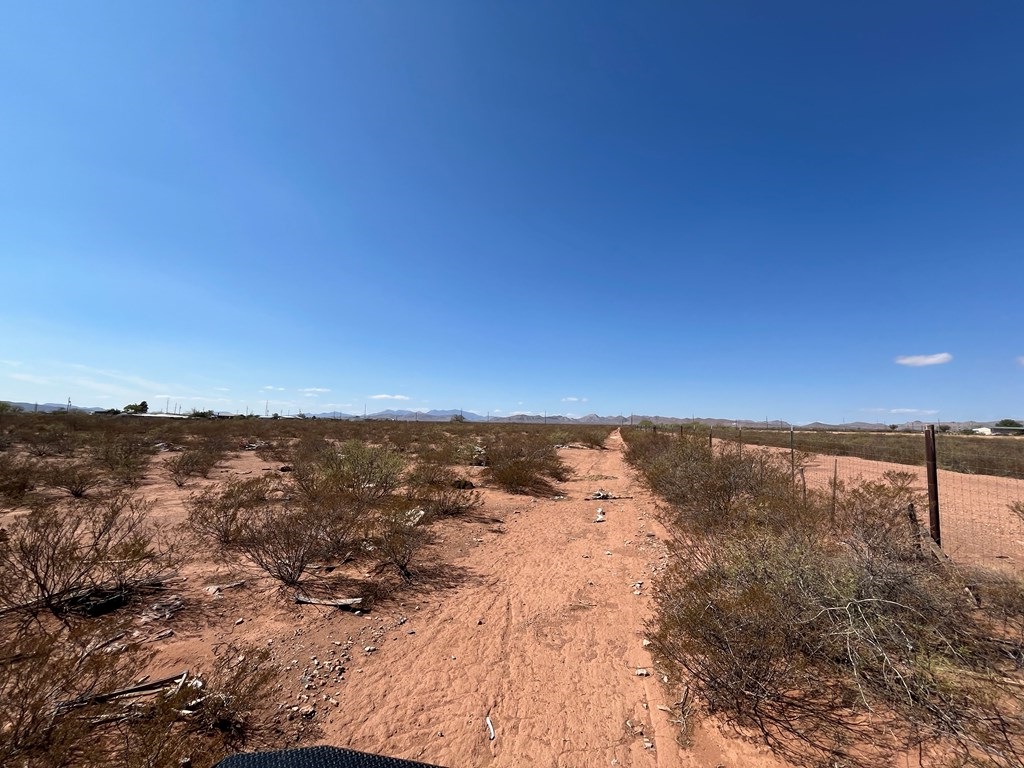 101 Redford, Terlingua, Texas image 7