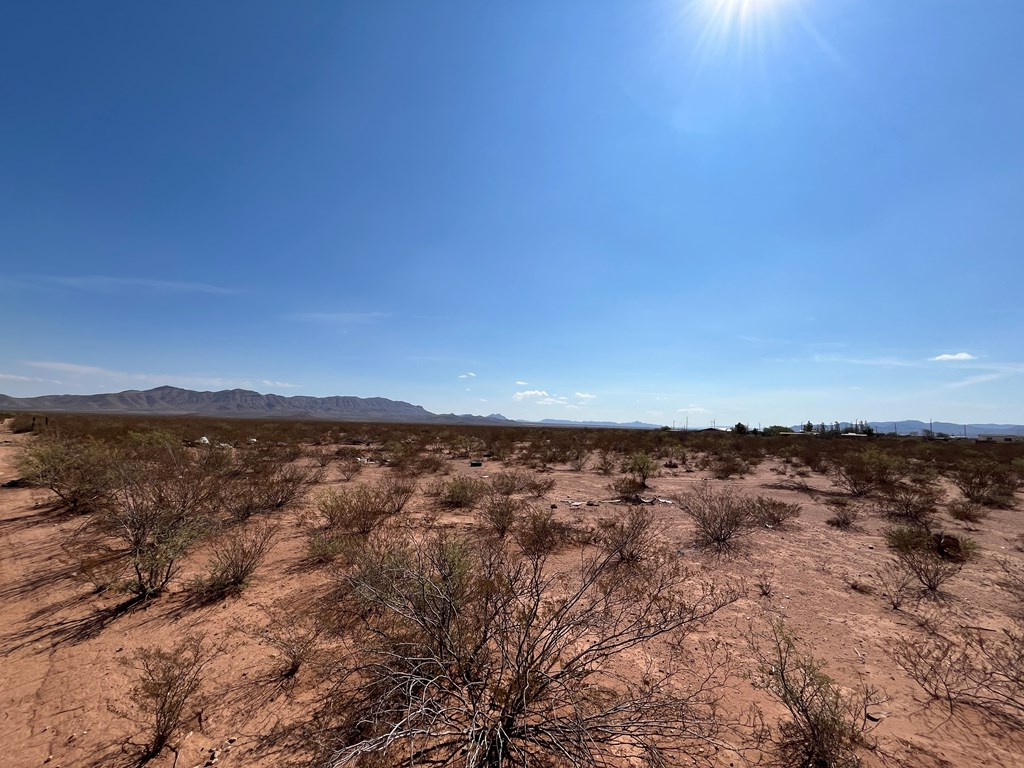 101 Redford, Terlingua, Texas image 9