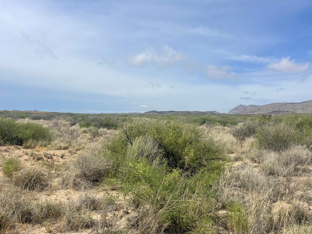 TR 9035 Highlander Rd, Terlingua, Texas image 10