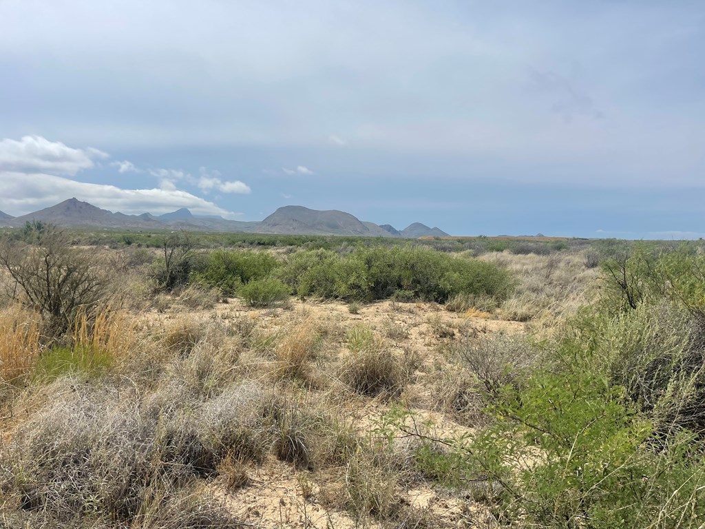 TR 9035 Highlander Rd, Terlingua, Texas image 4