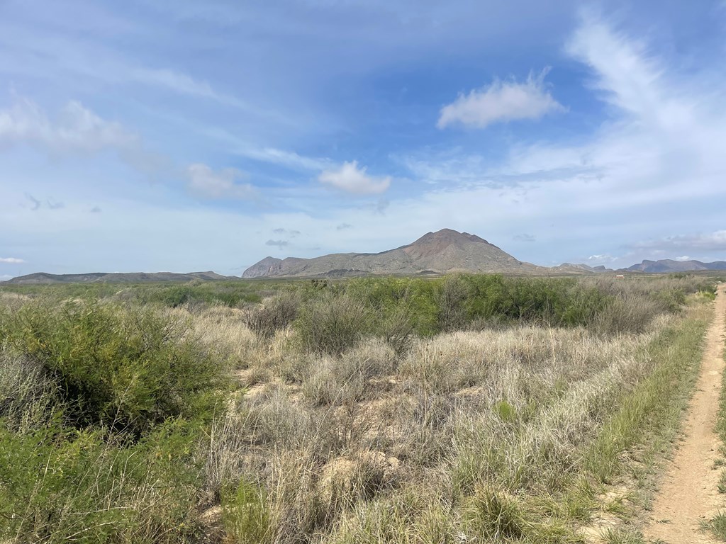 TR 9035 Highlander Rd, Terlingua, Texas image 5