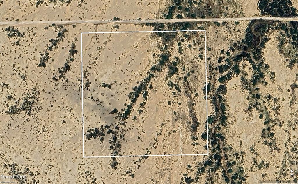 TR 9035 Highlander Rd, Terlingua, Texas image 11