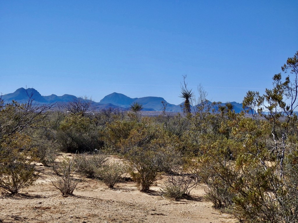 4316 Dale Ernheart Dr, Terlingua, Texas image 21